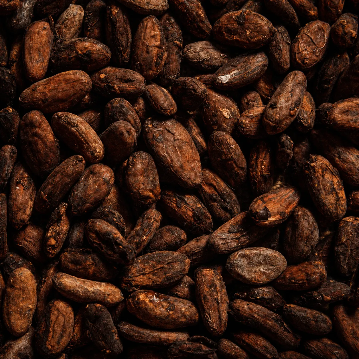 Primer plano de granos de cacao para chocolate